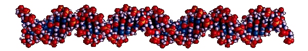 DNA Links