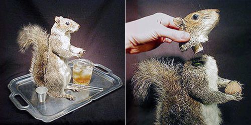 Image:Squirrel_bottle.jpg