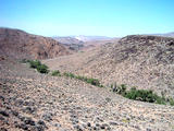 IMG_0614.jpg